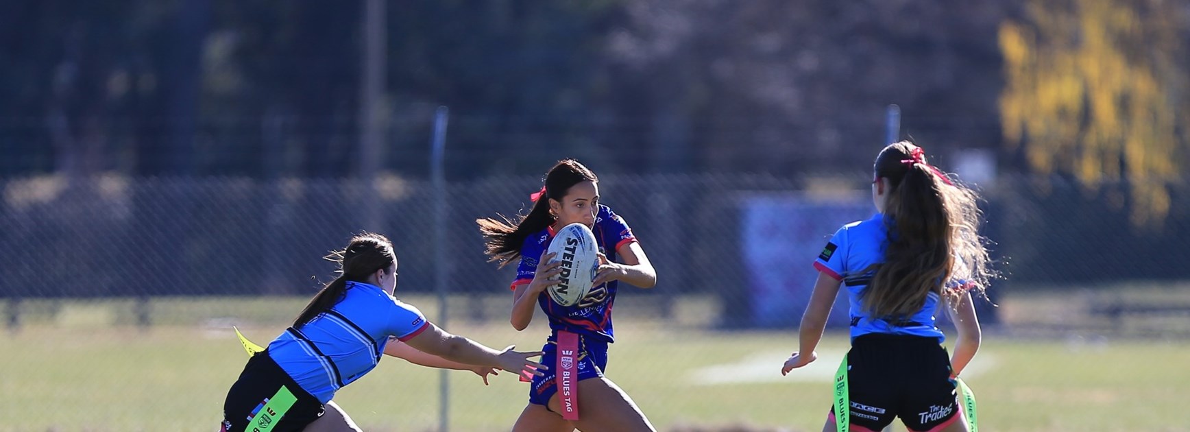 Around the Grounds: June 28