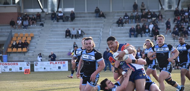 Bushies skip away from Sharks in a top-four thriller