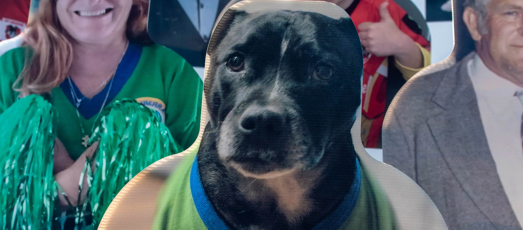 Fans in the stand: Raiders v Sea Eagles