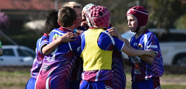 Participation numbers at all-time high